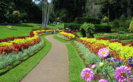 Peradeniya Botanical Garden