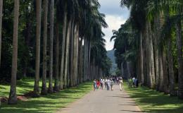 Peradeniya Botanical Garden